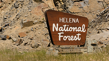 Area Recreation Activities
